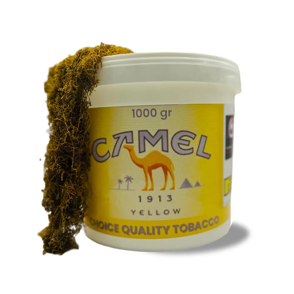 Camel